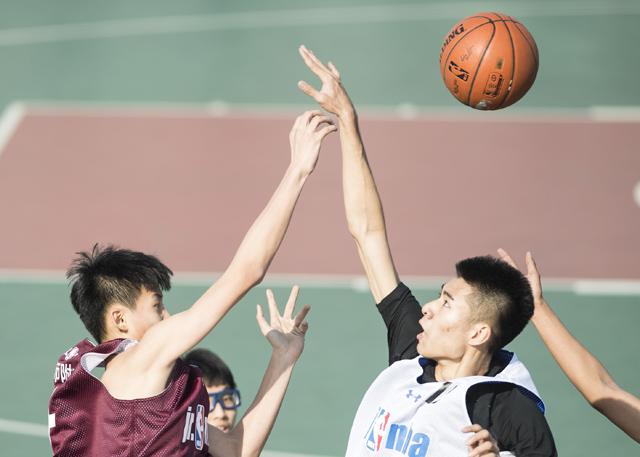 91免费版网站